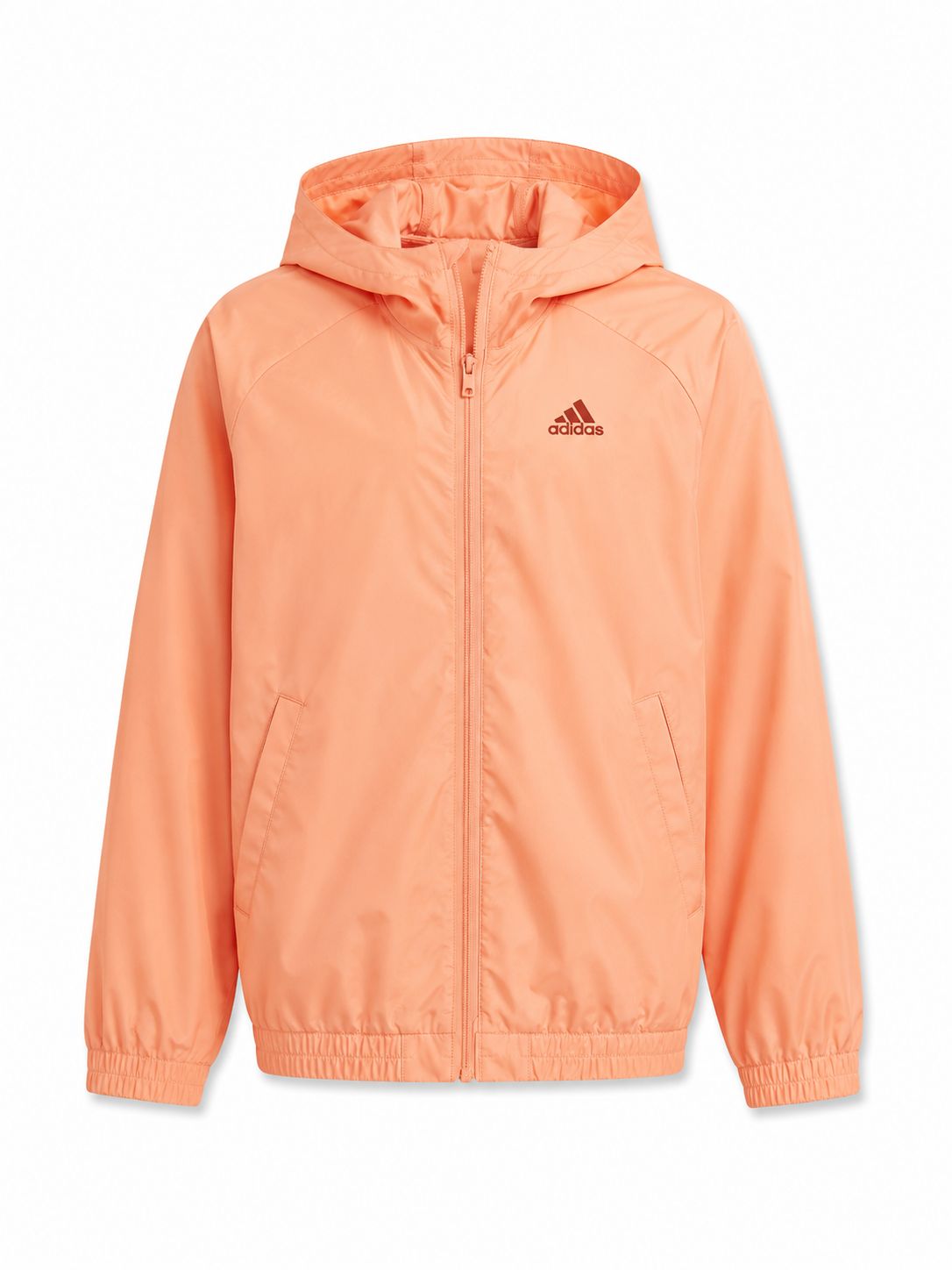 Lote 153 Sudaderas y Chaquetas Deportivas Adidas, Puma, Fila & Coq Sportif – 15 € / Unidad