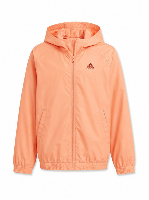 Lote 153 Sudaderas y Chaquetas Deportivas Adidas, Puma, Fila & Coq Sportif – 15 € / Unidad